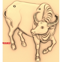 Bull
