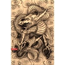 Panel Dragon with background