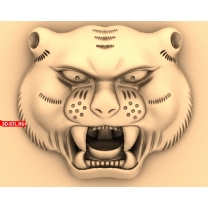 Head of a Chinese tiger