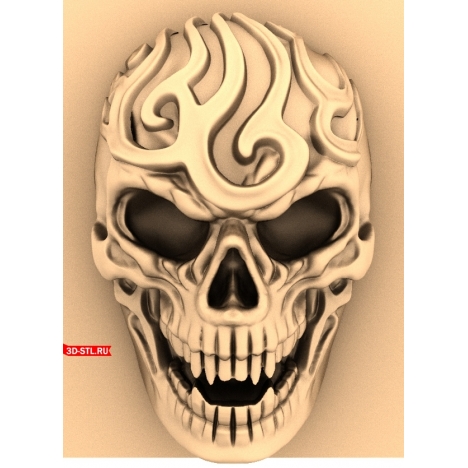 Skull Panel 