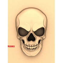 Skull Panel