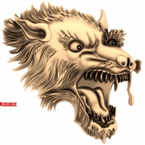 Wolf's head