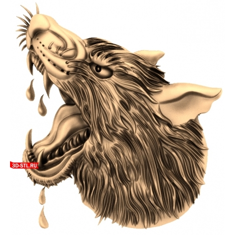 Wolf head 