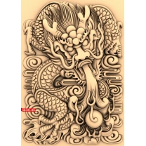 Panel Dragon with background