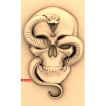 Skull and Snake Panel