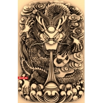 Panel Dragon with background
