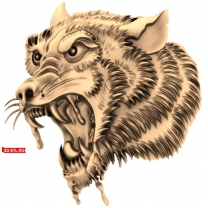 Wolf's head
