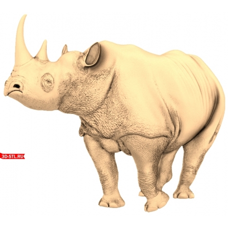 3D model of a rhinoceros in STL format for CNC