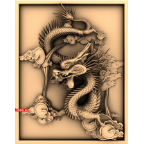 Panel Dragon
