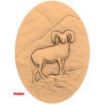 Panel "Baran"