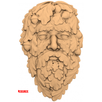 Panel "Face of Acorns"