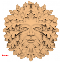 Panel "Face made of leaves"