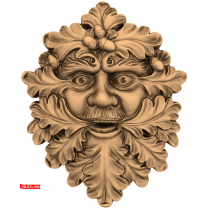 Panel Face of Leaves