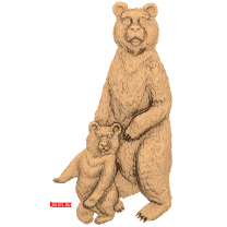 Panel Bears
