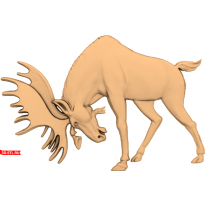 Deer