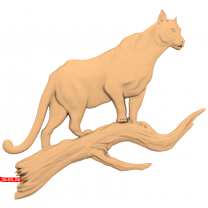 Panther