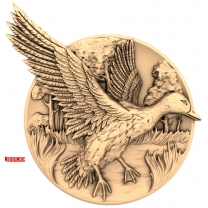 Panel Drake