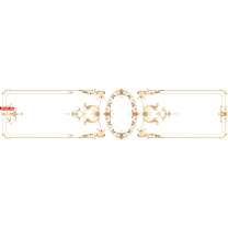 An elegant frame with ornate patterns