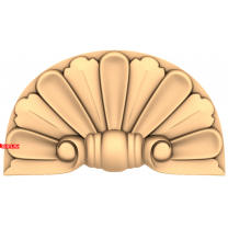 Sea shell