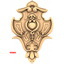 Elegant shield