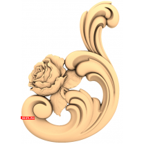 Luxurious rose
