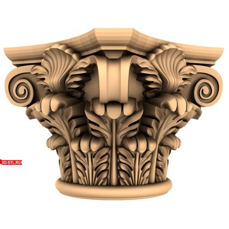 3D model of the 