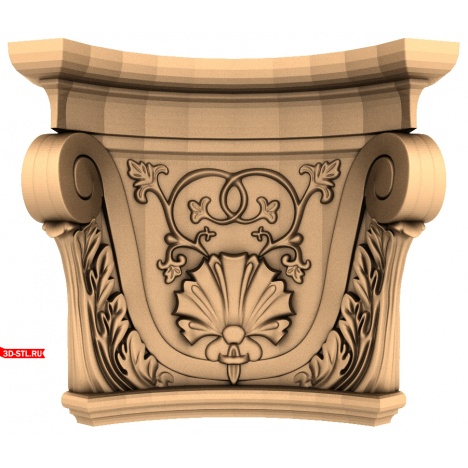 Capital 
