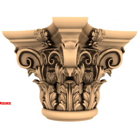 Capital 