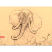 Panel Elephant