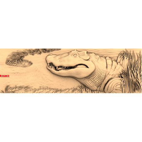 Crocodile Panel 