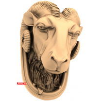 Ram's head