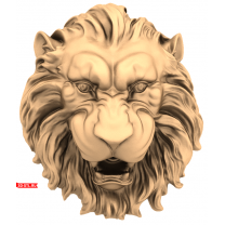 Lion's head