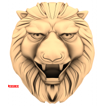 Lion's head