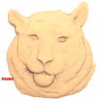 Tiger's Head