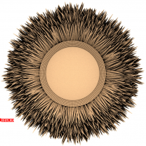 Solar Explosion
