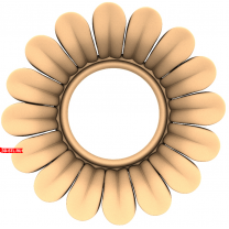 Rosette Solar Flower