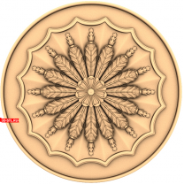 Rosette Whirlwind of Leaves
