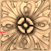 Petal Elegan