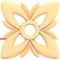 Floral Illusion