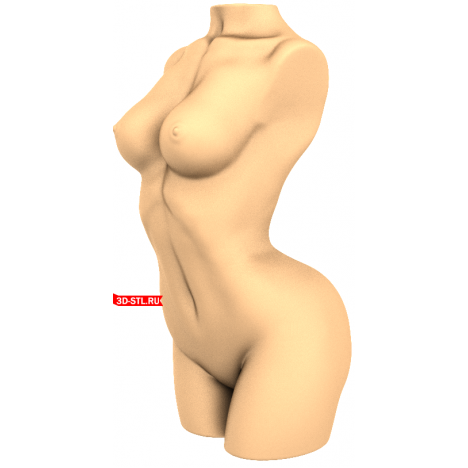 Aesthetic body of a girl - 3D model for printing