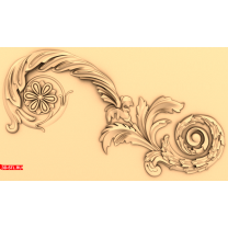 The Spiral of Nature