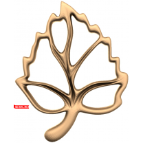 Grace Leaf