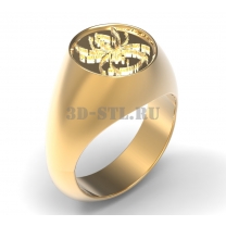 3D ring #67