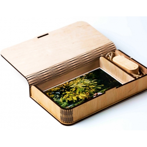 Two-Compartment Box Laser Cut File