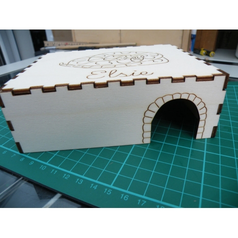 Snake House Laser Cut File