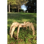 Spider 3D Laser Cut File