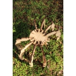 Spider 3D Laser Cut File
