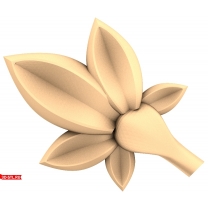 Floral decor Elegance of nature