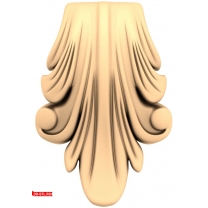 Elegant curl