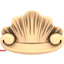 Sea shell